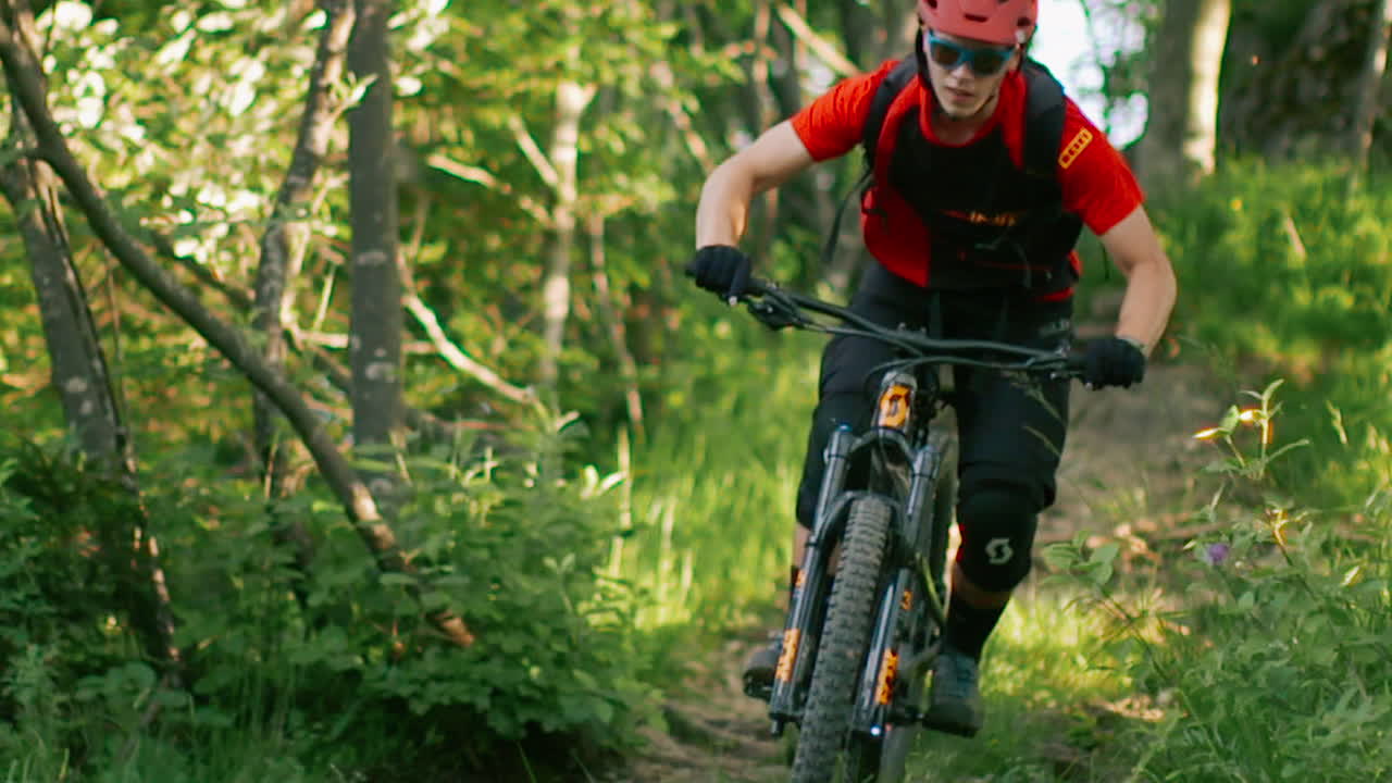 Mountain biker on a forest trail