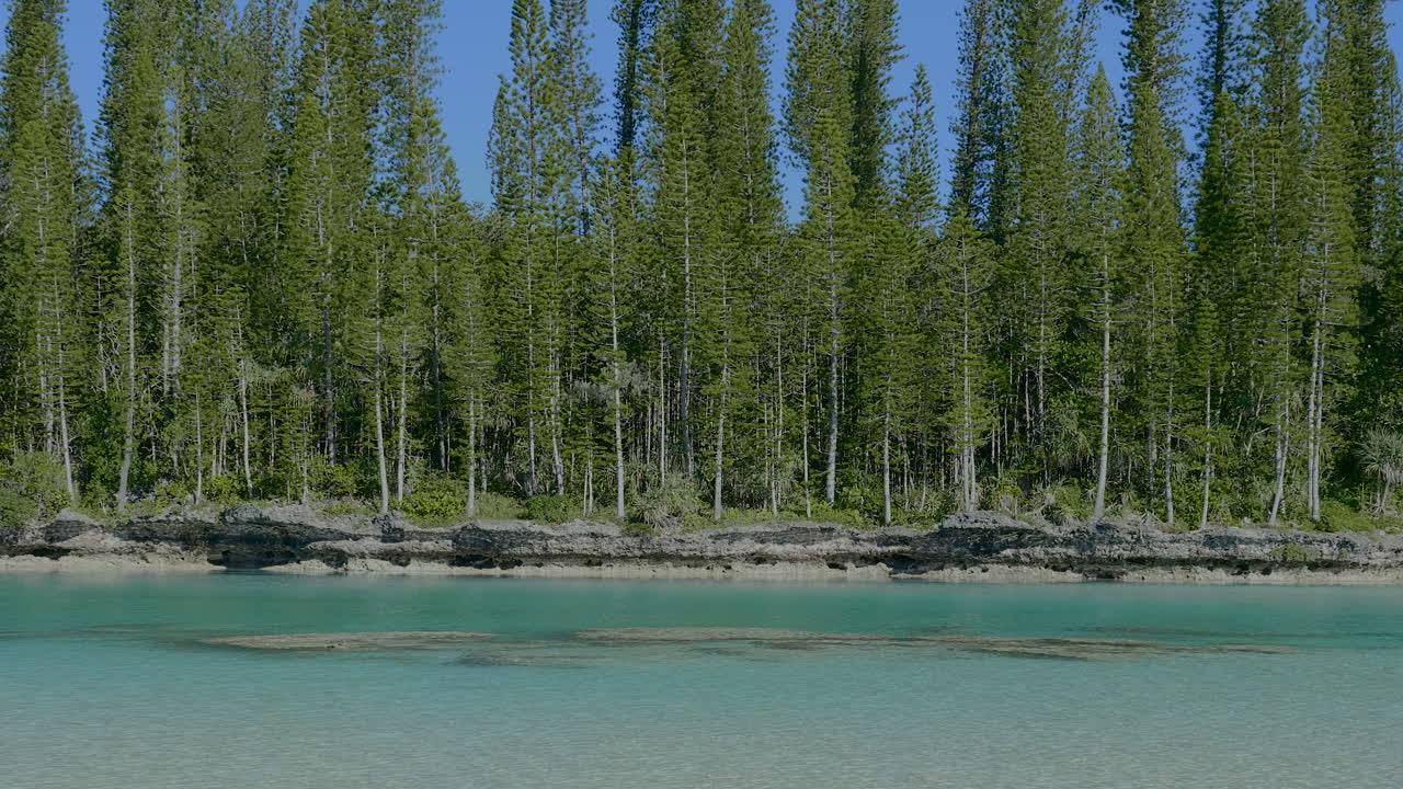 천연 수영장, 오로, 소나무 섬 해안에 있는 원주형 소나무의 공중 철수