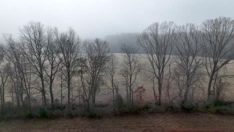 Antena-Sobre-La-Línea-De-árboles-De-Invierno-En-El-Campo-Agrícola-En-El-Condado-De-Yadkin-Nc,-Carolina-Del-Norte