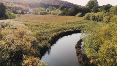 wild river overgrown with trees and bushes near meadows northern poland europe