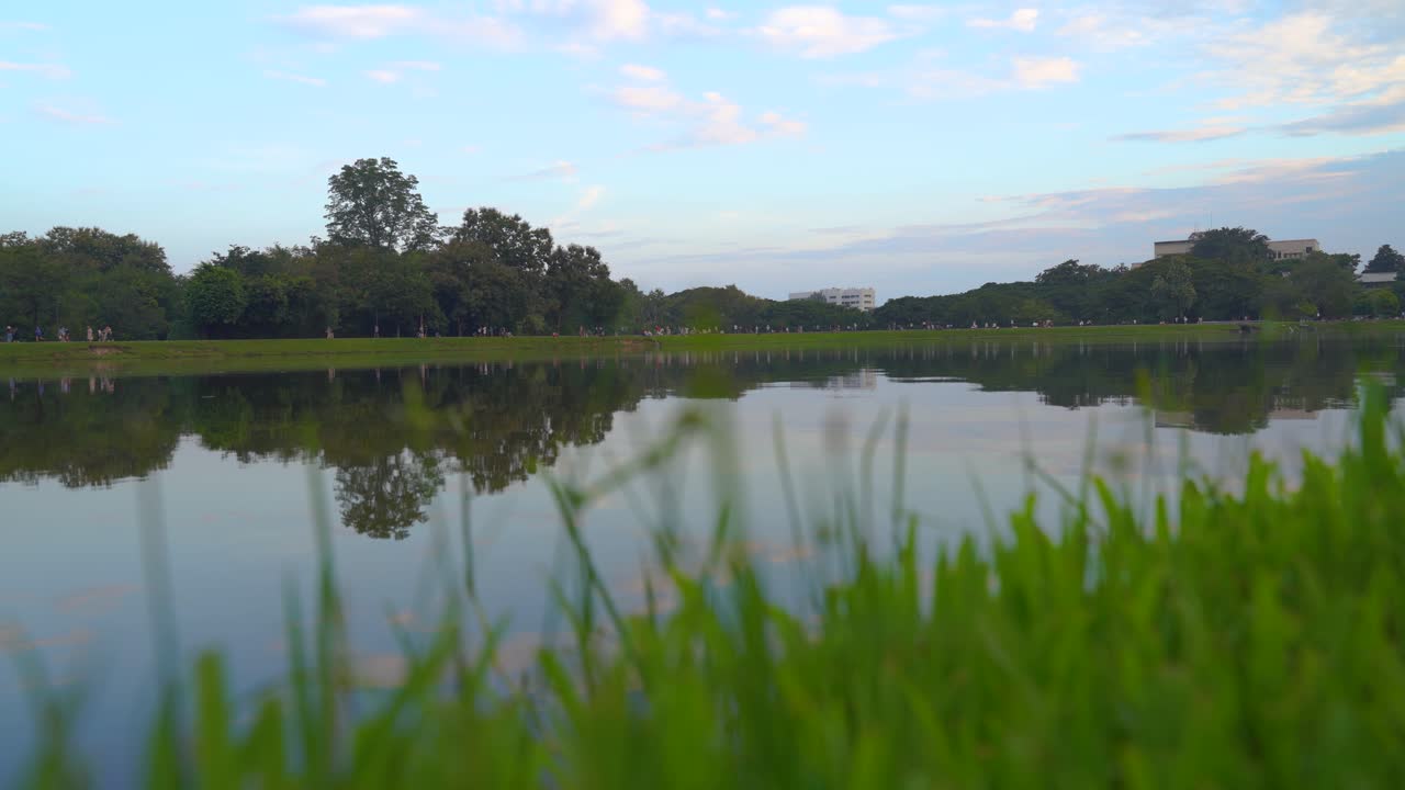 하늘의 반사와 함께 아름다운 호수를 향해 잔디를 통해 낮은 각도 보기