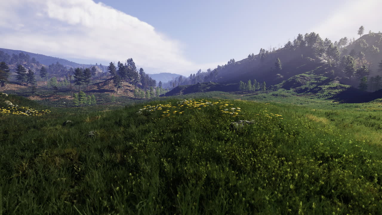 Vibrant green landscape with wildflowers illuminated by morning light