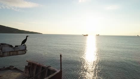 abandoned shipwreck at sunrise/sunset