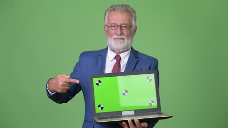 handsome senior bearded businessman against green background