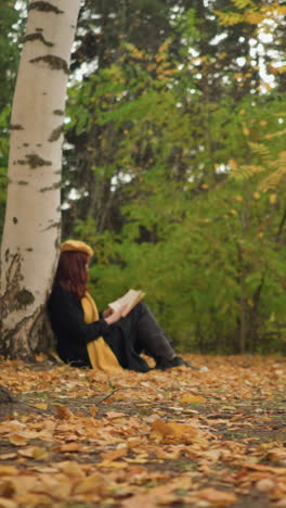 vista lateral del novelista disfrutando de un libro en soledad lleva una bufanda de boina amarilla alrededor del cuello centrado en el libro volviendo páginas en un hermoso parque de otoño rodeado de hojas doradas y abedules