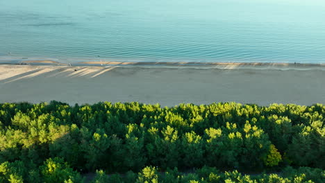 aerial shot of a quiet beach with gentle waves and a forested coastline, during sunset