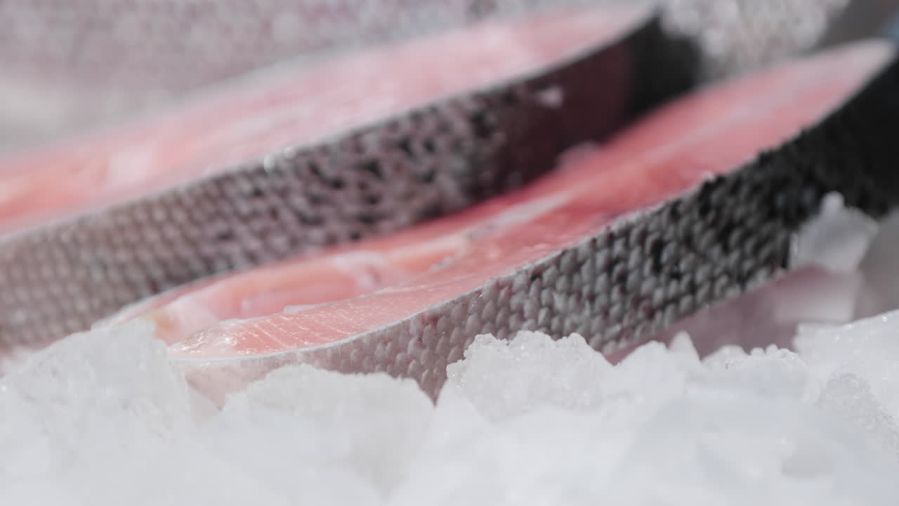 filetes de salmón crudo sobre cama de hielo picado