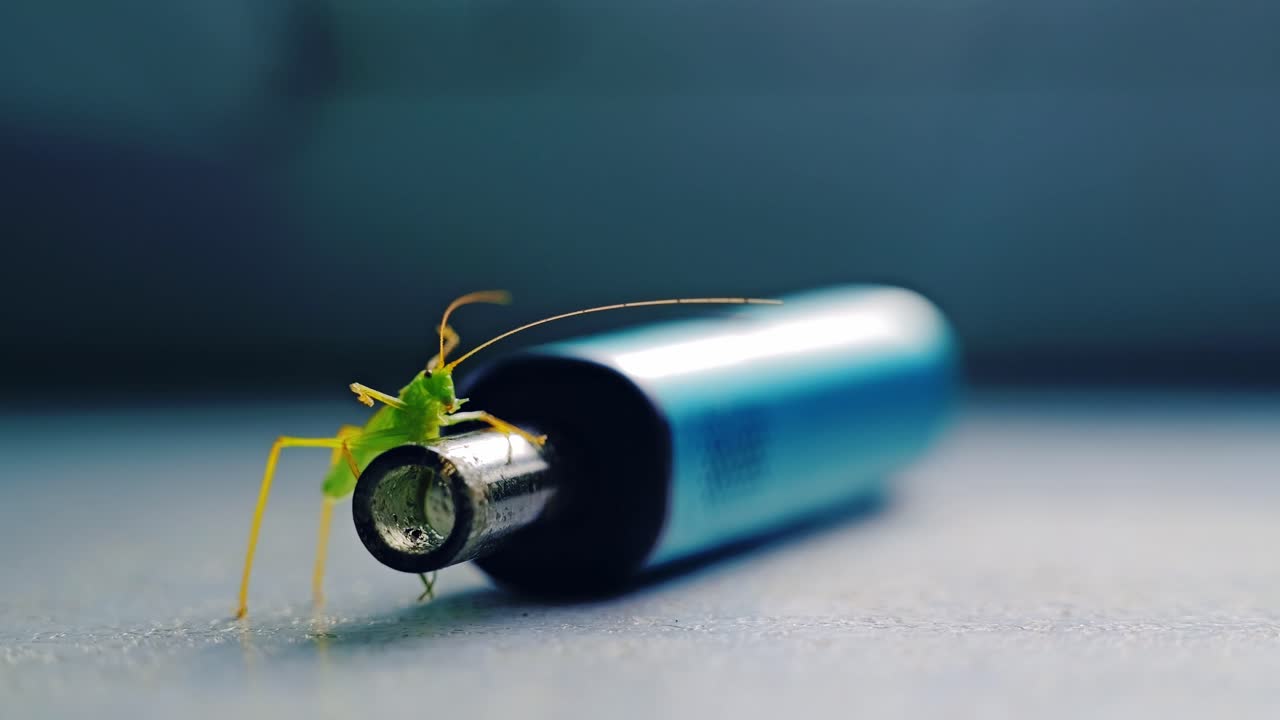 Macro close up, green grasshopper resting on metallic cannabis vaporizer device