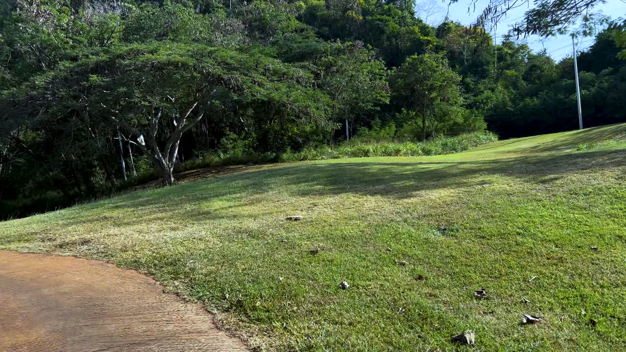 골프 카트는 울창하고 그림 같은 풍경을 가로질러