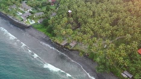 top-down-of-turquoise-ocean-waves-crash-on-black-sand-Jasri-Beach-in-Bali-with-tropical-coconut-trees-field,-aerial