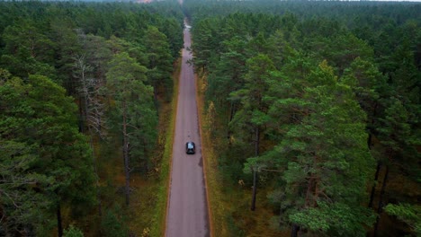 Kiefernwald-Mit-Straße-Und-Schwarzem-Auto,-Gefolgt-Von-Einer-Drohne-Von-Oben