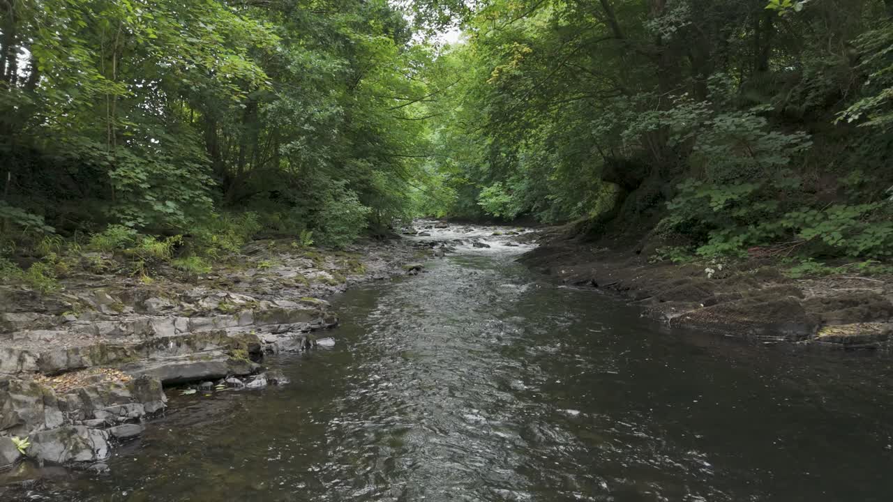 Flyver op ad floden Tavy, der viser dens klare vand og omkringliggende grønne områder, Devon, Storbritannien.