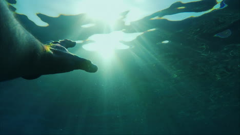 La-Mano-Del-Hombre-Se-Extiende-Hacia-El-Sol-Bajo-El-Agua