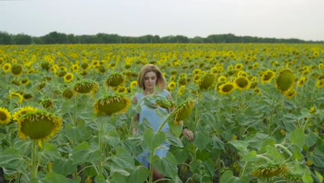 Retrato-De-Una-Mujer-Joven-Con-Un-Vestido-Azul-Caminando-En-El-Campo-De-Girasoles,-Disfrutando-De-La-Naturaleza.-Tiro-En-Cámara-Lenta