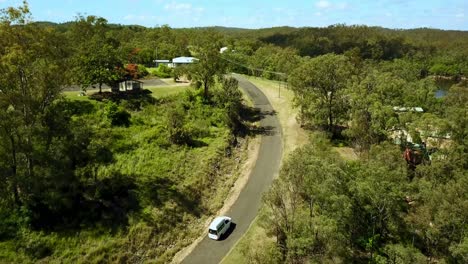 campervan going up the hill in green scenery of eucalyptus trees