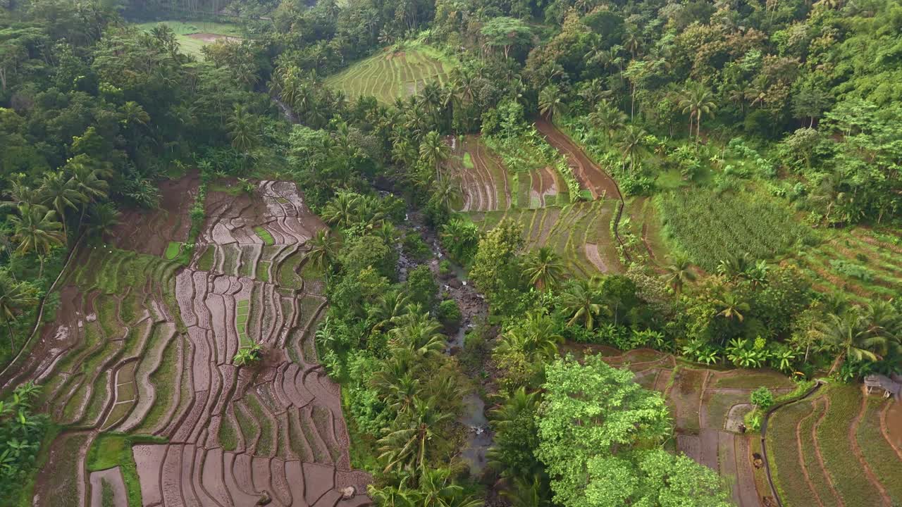 Aerial view of rice field with river in rural Indonesia.