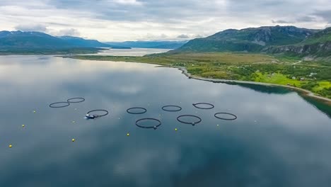 imágenes aéreas de granjas de pesca de salmón en noruega