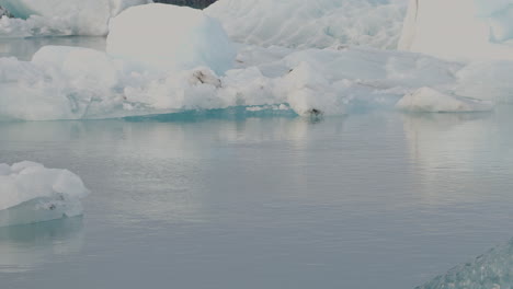 Close-up-of-glaciers-floating-in-the-icy-waters-of-Jökulsárlón-Glacier-Lagoon-in-Iceland