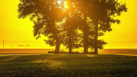 glowing, morning sunrise through trees along a countryside road - time lase