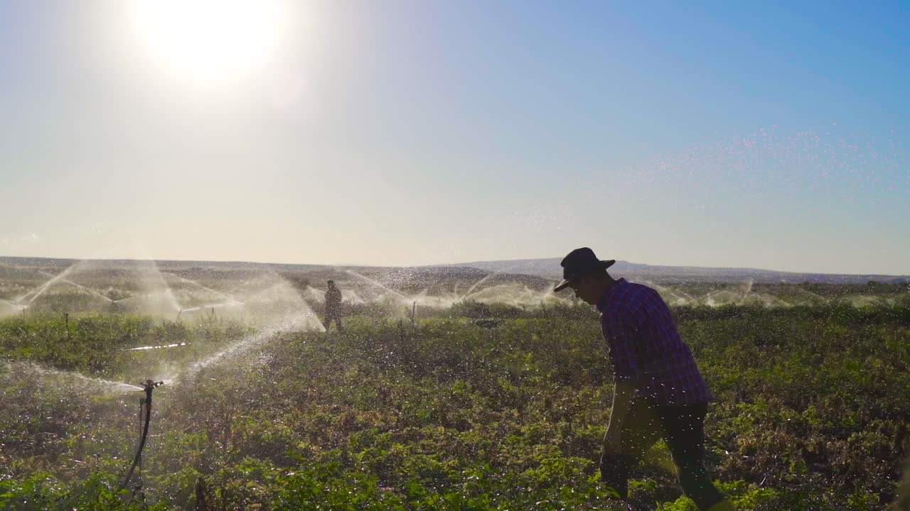 sistema de riego agrícola. agricultores caminando por el campo en cámara lenta.