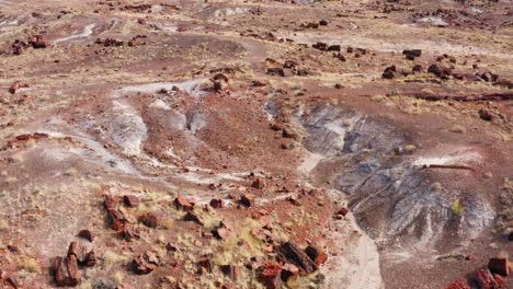 petrified tree logs in the badlands of the painted desert of arizona