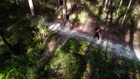 Frau-Beim-Trekking-Auf-Waldwegen-Im-Hinterland-Von-Noosa,-Queensland,-Australien