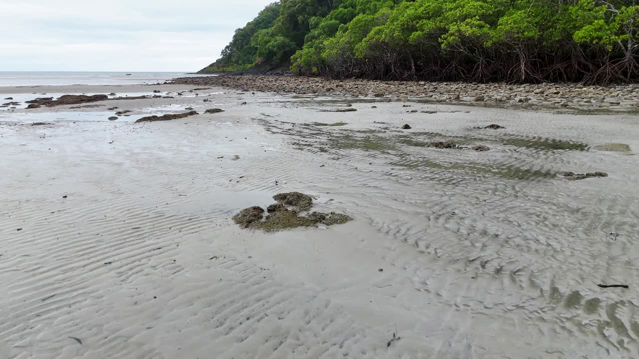 Camera moves forward across wet sand toward mangroves, overcast daylight, wide landscape view