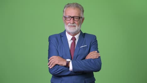 hombre de negocios barbudo y guapo contra un fondo verde.