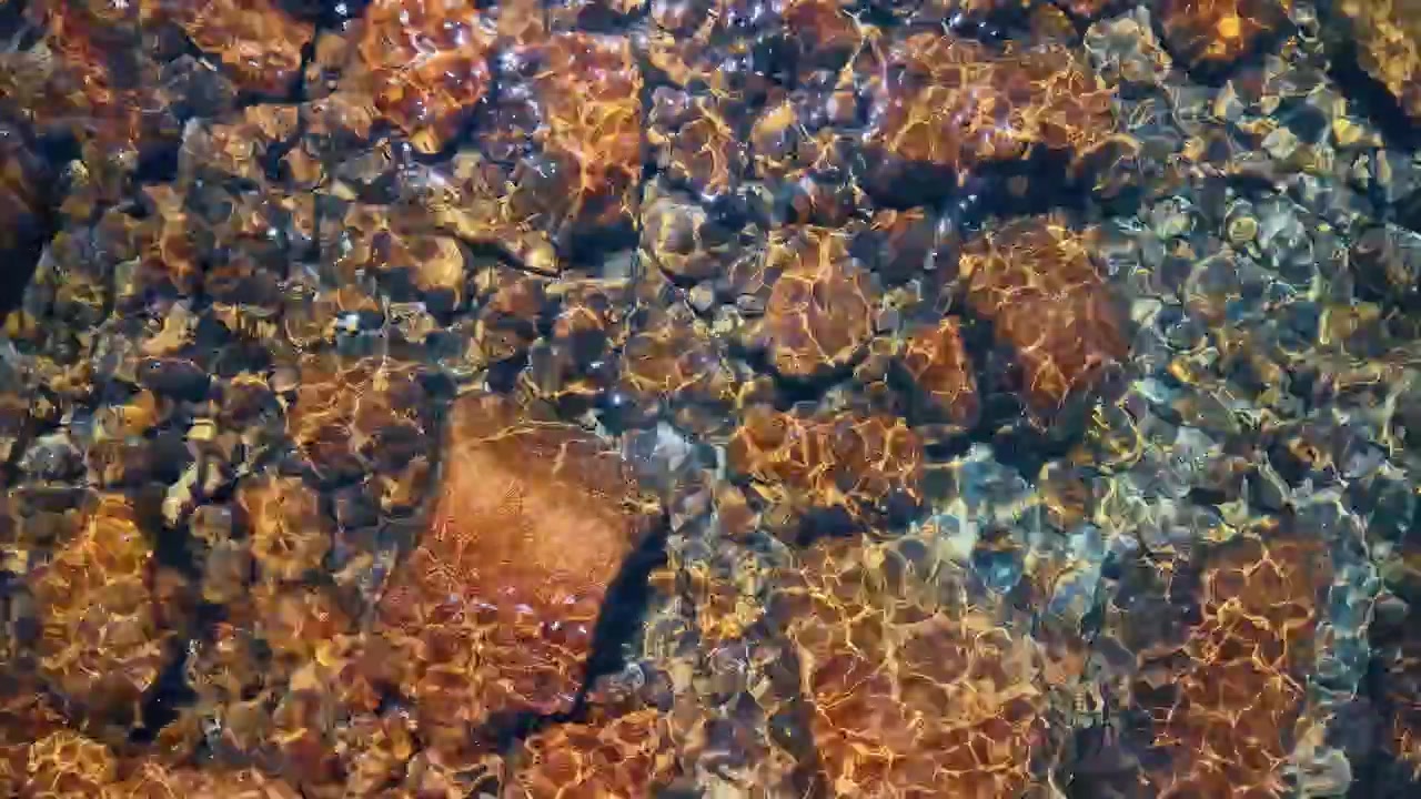 Patrones de luz solar sobre piedras sumergidas en el lago Tahoe. Las ondas proyectan líneas brillantes cambiantes sobre rocas marrones y grises bajo el agua cristalina del lago Tahoe
