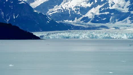 el glaciar hubbard y el hielo en la bahía de desencanto, alaska