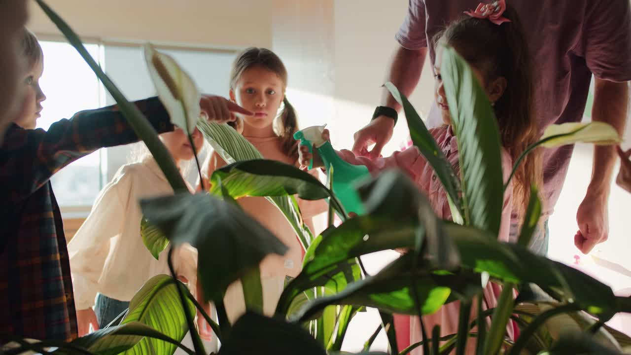 группа детей дошкольного возраста вместе со своим учителем, мужчиной в фиолетовой футболке, поливают комнатный цветок и распыляют его водой из специального распылятеля. урок биологии для детей дошколейного возраста