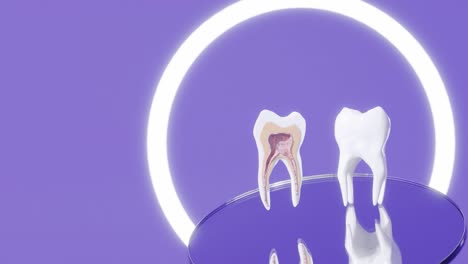 dental root anatomy - first maxillary molar tooth medically dental 3d animation above dentist mirror