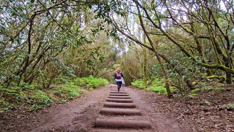 walking along a tranquil forest trail, surrounded by lush green vegetation in anaga, spain