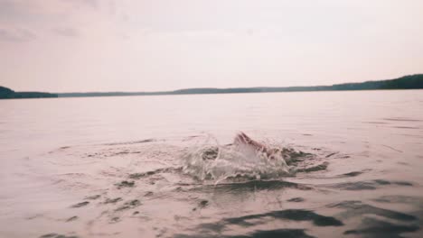 a cute little boy with swimming goggles swimming in the lake, happy childhood concept