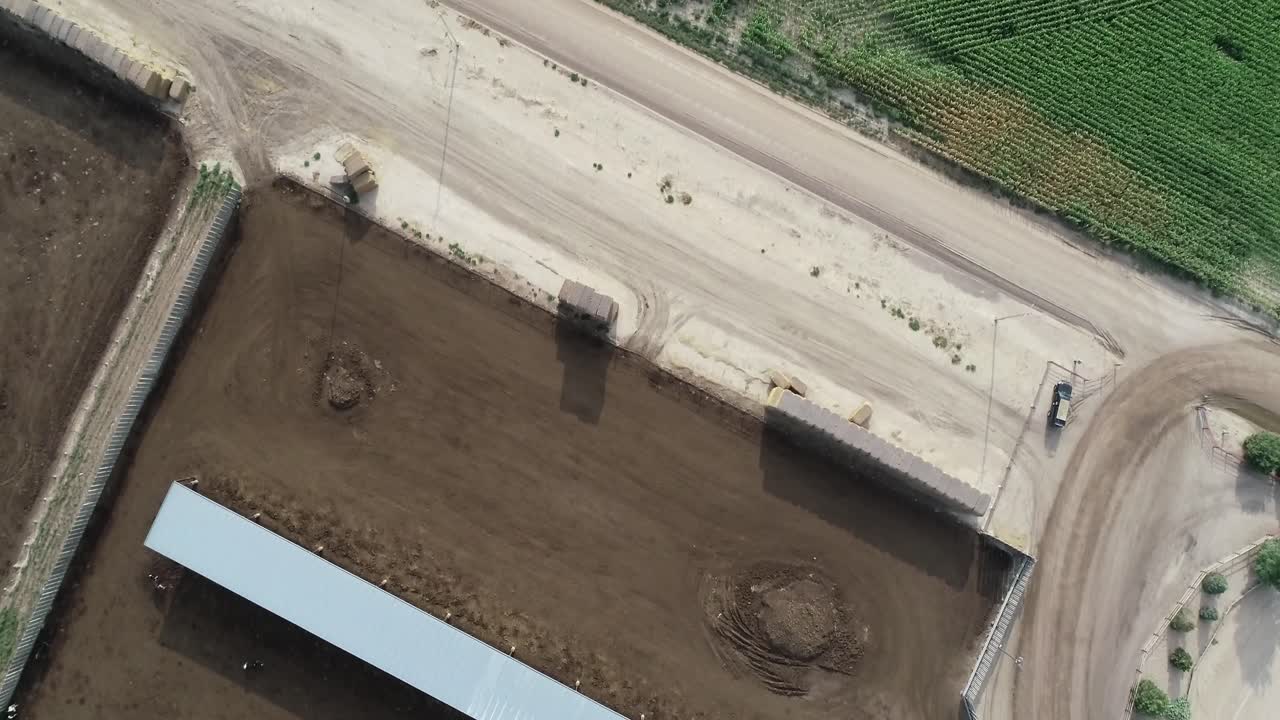 미국 낙농장에서 먹이를 주는 그늘에서 소들이 모이는 하향식 전망