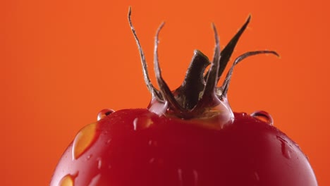 primer plano de un tomate mojado