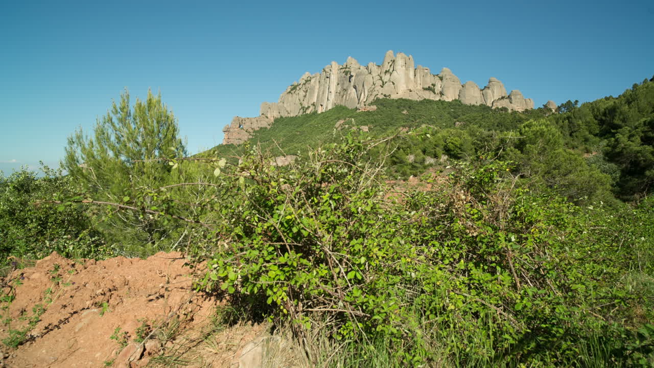 몬세라트 원시 00