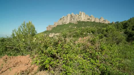 Montserrat-Roh-00