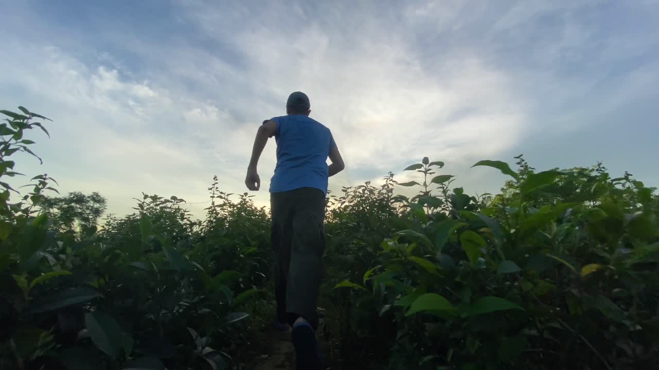 태양, 방글라데시를 향해 녹색 농업 분야에서 자유롭게 실행하는 젊은 남자