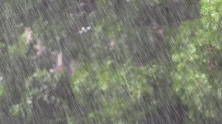 Rain Heavy with trees moving in background