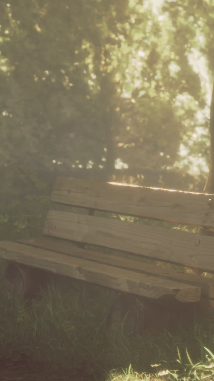 Serene wooden bench surrounded by lush greenery in a tranquil park setting