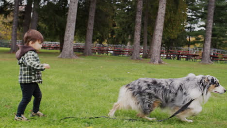 Lustiger-Kleiner-Junge-Führt-Einen-Hund-An-Der-Leine-Und-Das-Haustier-Rennt-Vor-Ihm-Davon