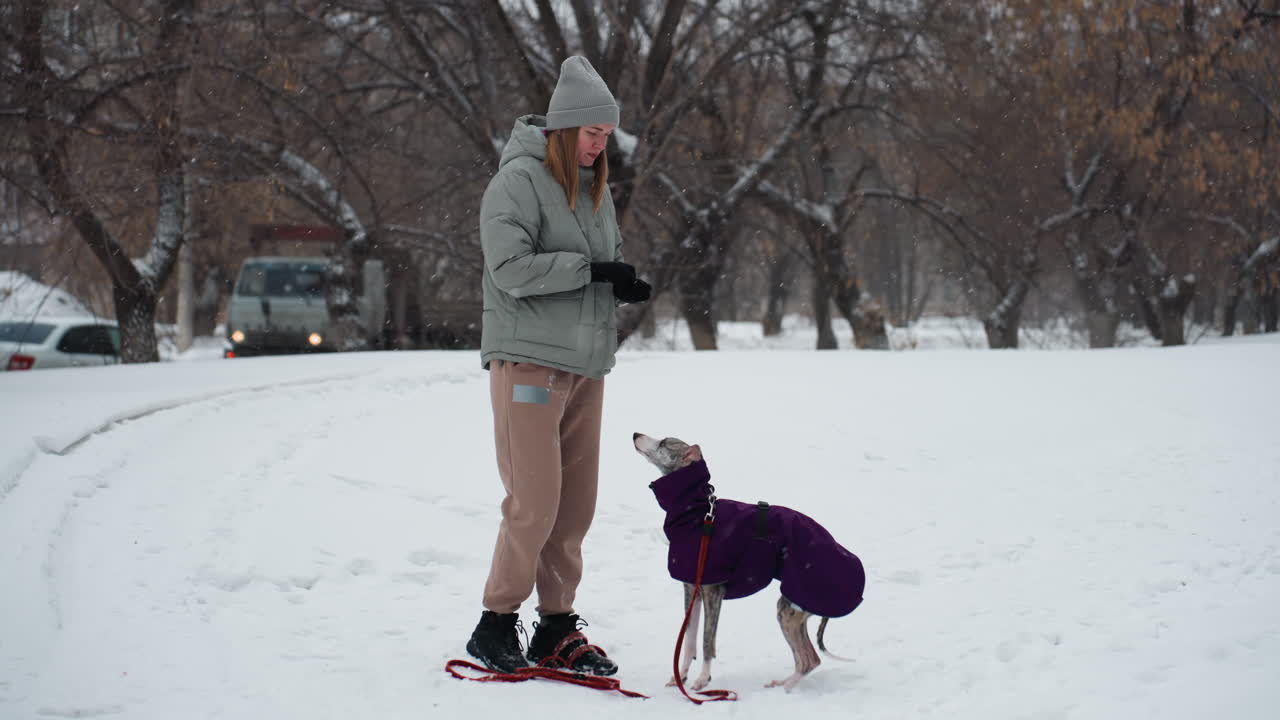 Woman wearing winter jacket and gray beanie plays with greyhound standing on hind legs in purple coat on snow-covered path in park surrounded by bare trees during snowfall in cold weather season