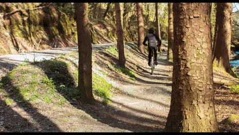 Mountain-biker-riding-bicycle-in-forest