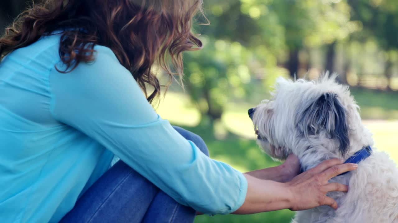 공원에서 개와 놀고 있는 여자