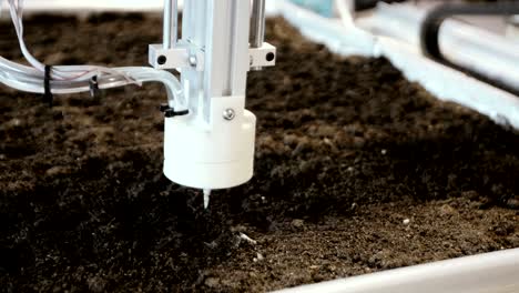 automatic planting of plants trees in the greenhouse. modern robotic technologies