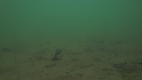 drone crash into the water in a lake while tracking myself in a red kayack