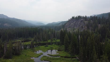 Krandrohnenaufnahme-Des-Payette-River-In-Einem-Wald-In-Der-Wildnis-Von-Idaho