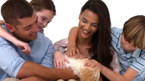 familia feliz con su cachorro en fondo blanco