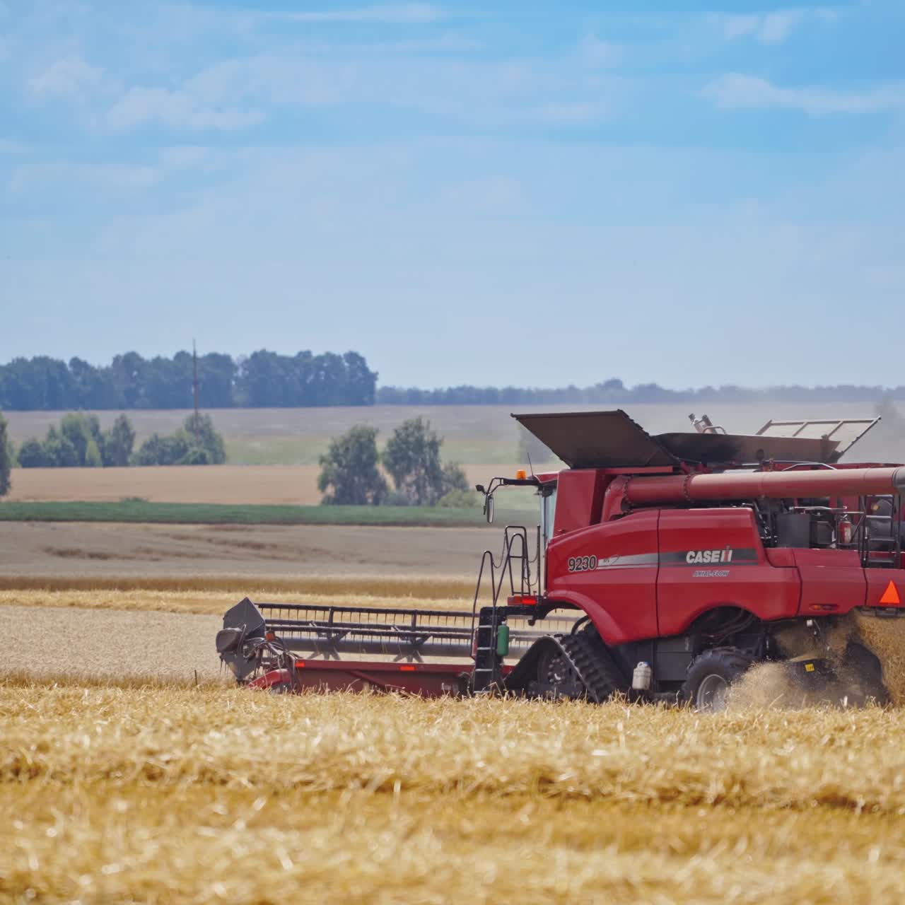 Combine harvesting golden wheat